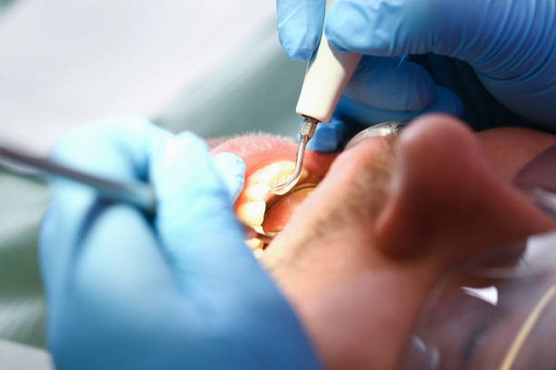 Best Urgent Tooth Repair  in Shrub Oak, NY